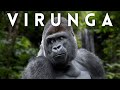 Volcanoes Gorillas My Wild Adventure In Congo S Virunga National Park