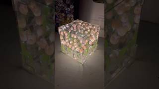 Download lagu DIY infinite flower cube 😳💐💕 #art #diy #artideas #diyideas #drawing #gift #diygift mp3