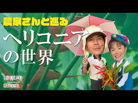 園芸 Rostrate ヘリコニア、ロブスタークロー