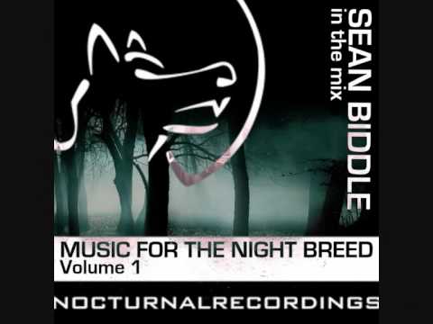 Sean Biddle - U And I - Matt Soda Remix