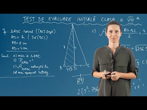 Test inițial de evaluare la matematică: fracții, radicali și geometrie plană - Clasa a VIII-a