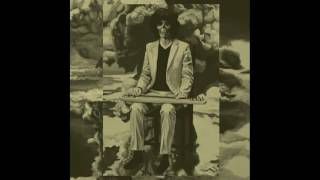 shintaro sakamoto- this world should be more wonderful