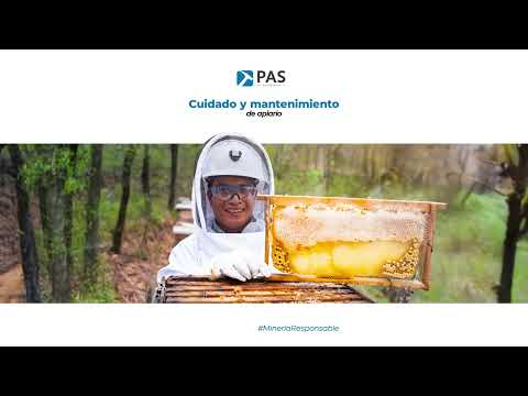 El importante papel de las abejas en nuestro entorno 💚