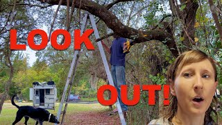 RV Dog In Danger! | Truck Camper Vlogs | DestinatioNow S5 Ep 130