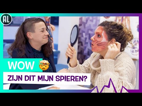 JE LICHAAM VAN BINNEN | TOPDOKS MEDISCH TEKENAAR SPECIALISME