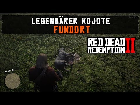 Red Dead Redemption 2 - Legendärer Kojote - Fundort