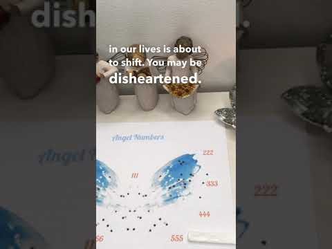 Angel Number 555 | Numerology with Psychic Eve at EXT 1194