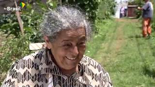 Caminhos da Reportagem | Agricultura urbana
