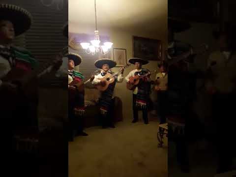 Promotional video thumbnail 1 for Mariachi Trio El Mexicano