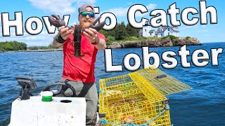 How To Catch Lobsters In Maine (I Bought A Boat Episode 3)