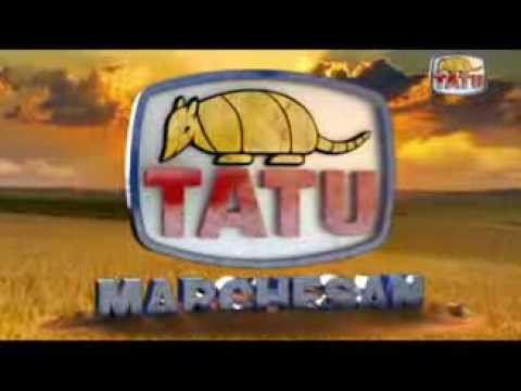 VT Marchesan - Campanha 2014