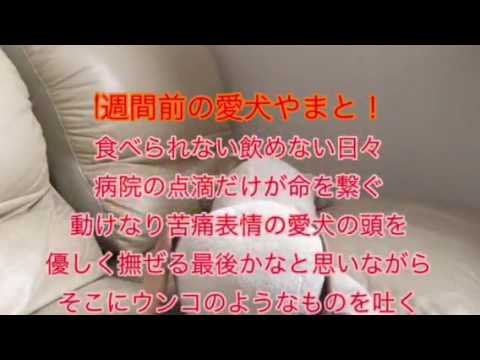 会計学科 助けていただいた病院に 心から感謝しています！ 木村勝則滋賀県高島市！