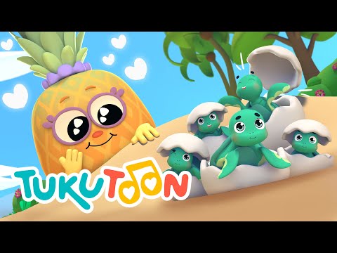 Cinco Tortuguitas 🐢 🌊 | Canciones Infantiles para Aprender y Jugar 🥁 🎶 | TukuToon Oficial 💖 ☀️