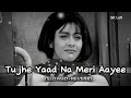 Tujhe Yaad Na Meri Aayi Slowed Reverb Udit Narayan Alka Yagnik Lofi Version
