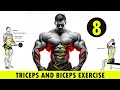 The Ultimate Arm Day Grow Your Biceps And Triceps Like Never Before