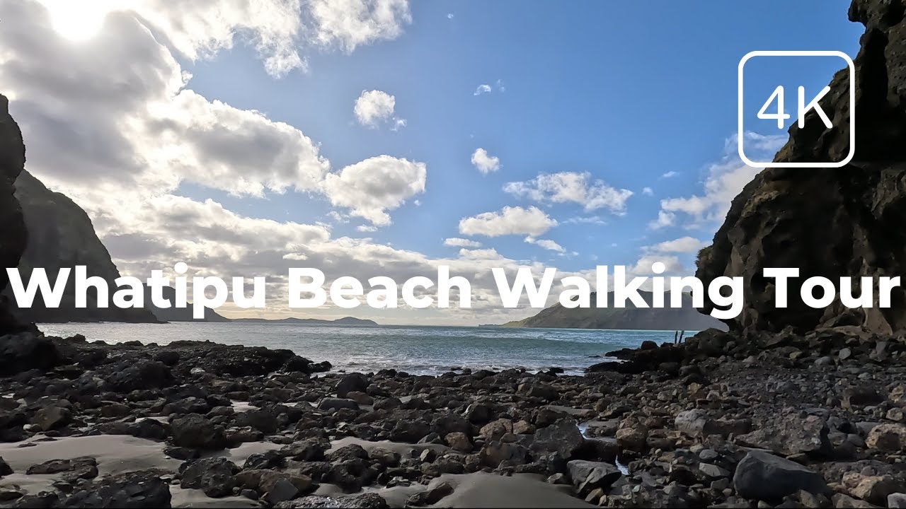 Join along a walking tour around Whatipu Beach