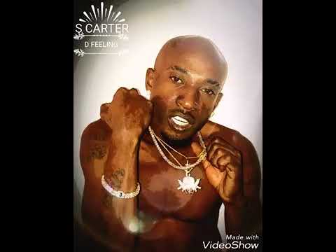 S carter -the feeling