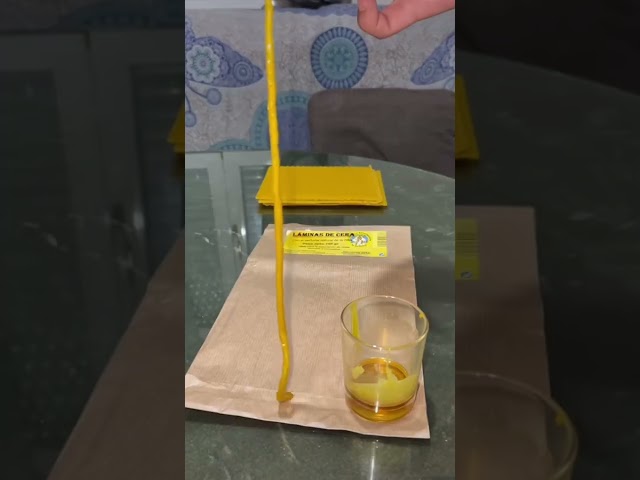 Vídeo relacionado con Danilovo Velas de Cera de Abejas 100% Pura, Velas Ortodoxas para Oración, Rituales, de Decoración de Mesa, N120, Altura 16 cm, 150 Unidades