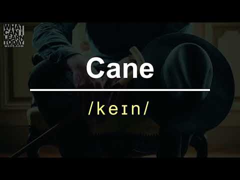 How to pronounce the word "Cane"