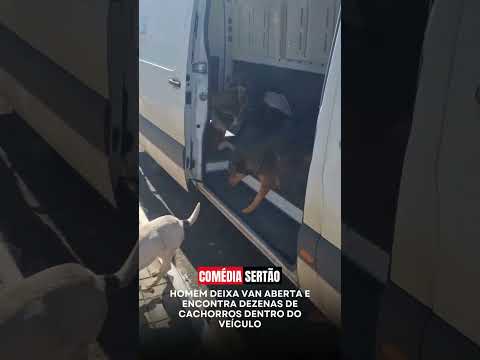Em Faxinal dos Guedes, Santa Catarina, Adailson Marins teve uma surpresa daquelas durante uma tarde