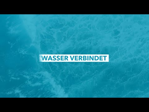 Wasser verbindet, das sind wir: Xylem