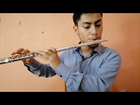 Himno 201 | Canción del Espíritu | flauta transversal