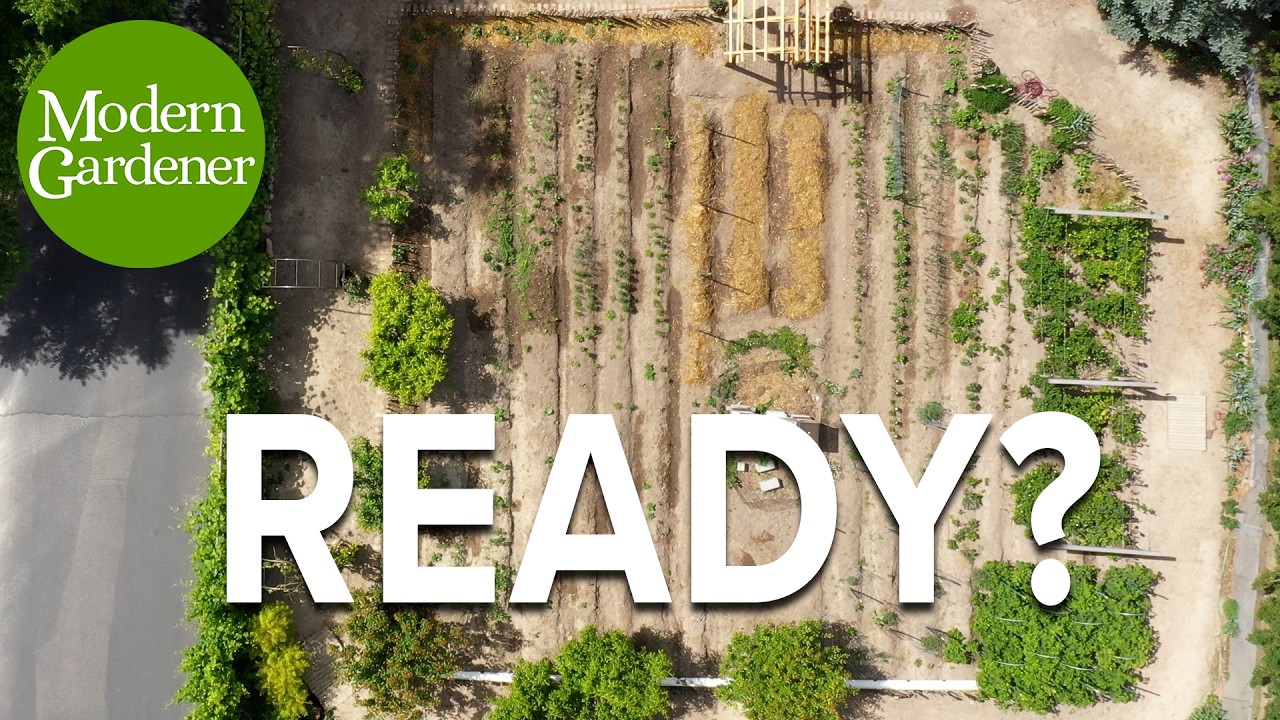 5 Spring Gardening Tips