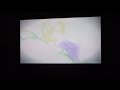 PBS Kids Go Wordgirl Pink Princess Promo