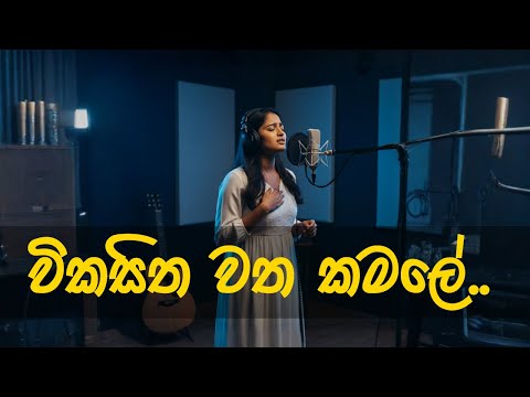 Wikasitha Watha Kamale | විකසිත වත කමලේ |  Female Cover Version | Tribute to Sanath Nandasiri