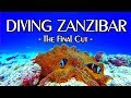 Scuba Diving in ZANZIBAR is UNBELIEVABLE !, "Sansibar" "Mnemba Atoll" "Mnemba Island" "Zanzibar", Mnemba Atoll - Matemwe Beach, Tansania