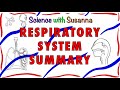 Respiratory System Summary