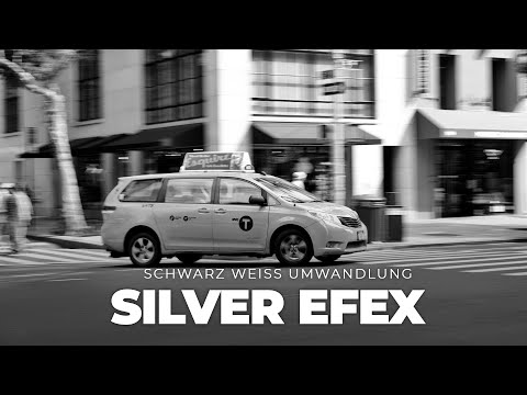 Black and white with NIK8 Silver Efex!