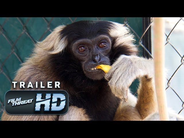 THE CENTER: GIBBONS AND GUARDIANS | Official HD Trailer (2021) | DOC | Film Threat Trailers