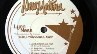 Lynn Ness - Ain't 2 Much ft. Yesh