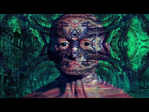 The Most Mind-Bending Salvia Trips of All-Time | Part One