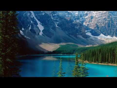 Ted Nilsson - No Return (Original Mix)