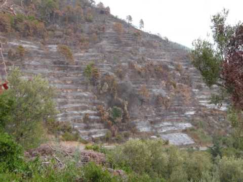 incendio cinque terre_ the day after fire