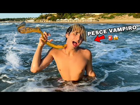 VINCI È STATO MORSO DA UN PESCE VAMPIRO AL MARE!!! *aiuto*