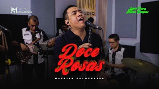 doce rosas