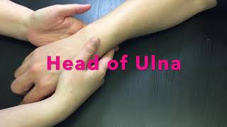 Palpation of bony landmarks on distal Radius and Ulna