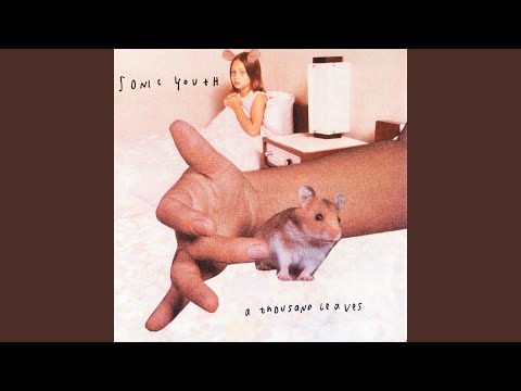 The Ineffable Me - Sonic Youth