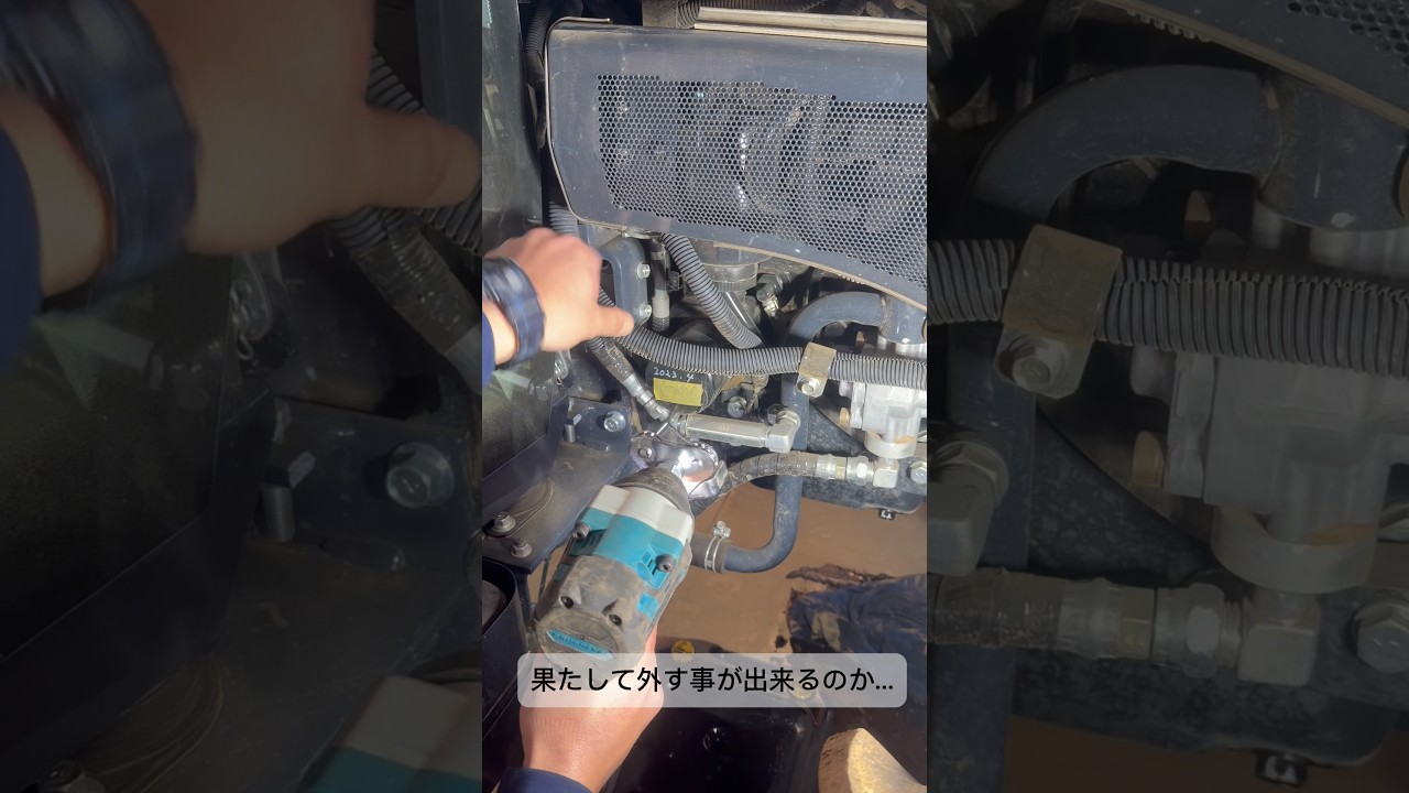 アリエクで買ったオイルフィルターレンチが無駄に使えるやつ#工具紹介#便利アイテム#shorts