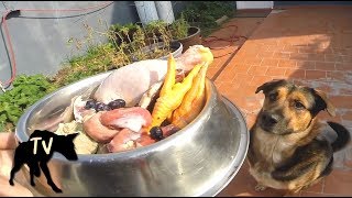 Download lagu Raw Chicken Drumstick & Raw Meats Mukbang | Raw Feeding Vlog mp3 Download lagu Raw Chicken Drumstick & Raw Meats Mukbang | Raw Feeding Vlog mp3