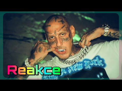 Separ, Fleego - International 🔥 reakce