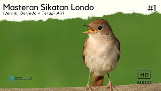 Download lagu Masteran Sikatan Londo Full Tembakan (Jernih, Berjeda & Terapi Air) mp3 Download lagu Masteran Sikatan Londo Full Tembakan (Jernih, Berjeda & Terapi Air) mp3