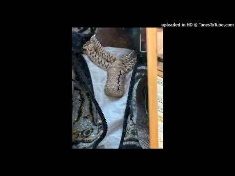 (FREE) Baby Smoove x Rocaine x Detroit x Sample Type Beat - "Cant See Me"