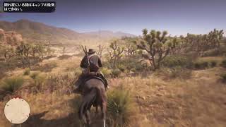 RDR2 5周目 #166