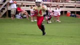 preview picture of video 'Rylan Trout - 2013 Gray Youth Football - Game 1'