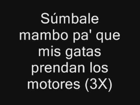 Gasolina By Daddy Yankee Letra