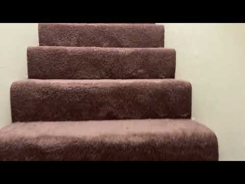 4934pasa - Video 2 of 2